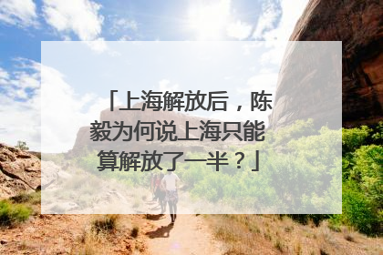 上海解放后，陈毅为何说上海只能算解放了一半？