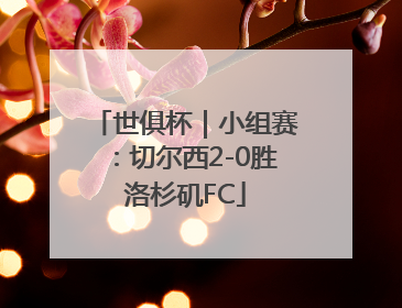 世俱杯｜小组赛：切尔西2-0胜洛杉矶FC