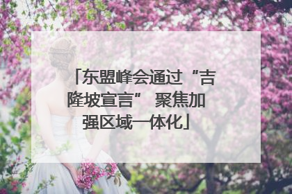 东盟峰会通过“吉隆坡宣言” 聚焦加强区域一体化