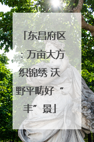 东昌府区：万亩大方织锦绣 沃野平畴好“丰”景