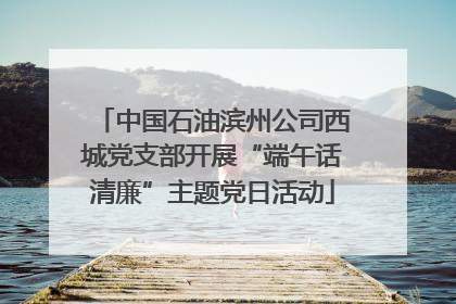 中国石油滨州公司西城党支部开展“端午话清廉”主题党日活动
