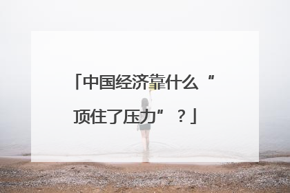 中国经济靠什么“顶住了压力”？
