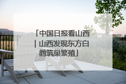 中国日报看山西｜山西发现东方白鹳筑巢繁殖