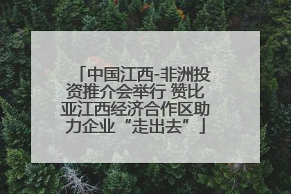 中国江西-非洲投资推介会举行 赞比亚江西经济合作区助力企业“走出去”