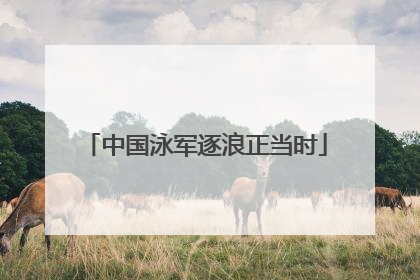中国泳军逐浪正当时