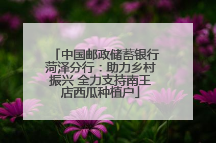 中国邮政储蓄银行菏泽分行：助力乡村振兴 全力支持南王店西瓜种植户