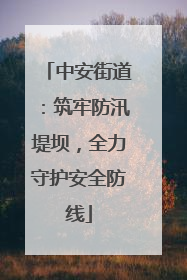 中安街道：筑牢防汛堤坝，全力守护安全防线
