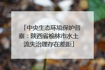 中央生态环境保护督察：陕西省榆林市水土流失治理存在差距