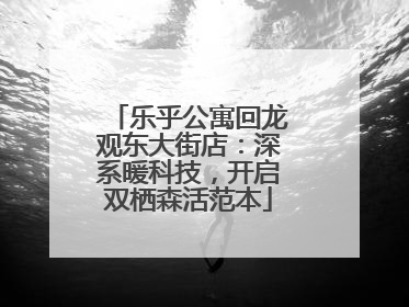 乐乎公寓回龙观东大街店：深系暖科技，开启双栖森活范本