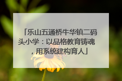 乐山五通桥牛华镇二码头小学：以品格教育铸魂，用系统建构育人