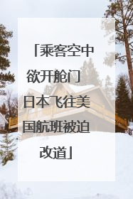 乘客空中欲开舱门 日本飞往美国航班被迫改道
