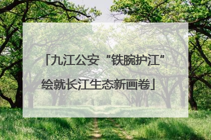 九江公安“铁腕护江”绘就长江生态新画卷