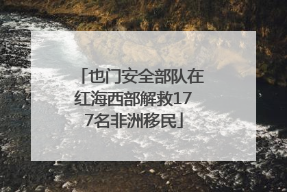 也门安全部队在红海西部解救177名非洲移民
