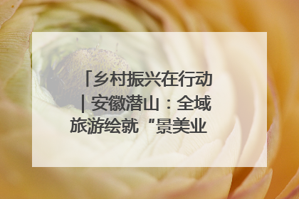 乡村振兴在行动｜安徽潜山：全域旅游绘就“景美业兴民富”新画卷