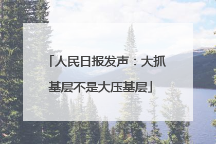 人民日报发声：大抓基层不是大压基层