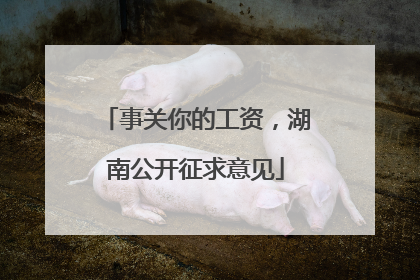 事关你的工资，湖南公开征求意见