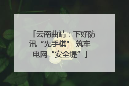 云南曲靖：下好防汛“先手棋” 筑牢电网“安全堤”