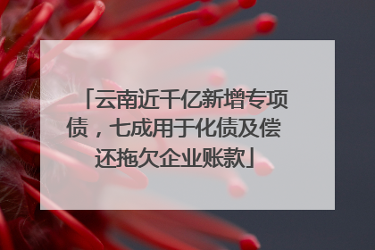 云南近千亿新增专项债，七成用于化债及偿还拖欠企业账款