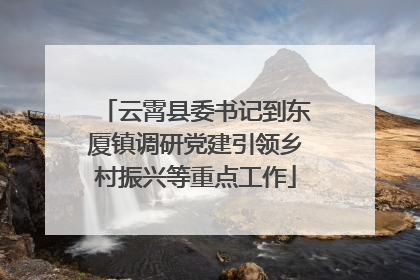 云霄县委书记到东厦镇调研党建引领乡村振兴等重点工作