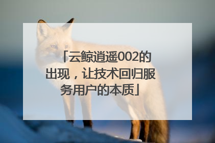 云鲸逍遥002的出现，让技术回归服务用户的本质