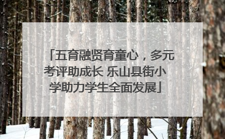 五育融贤育童心，多元考评助成长 乐山县街小学助力学生全面发展