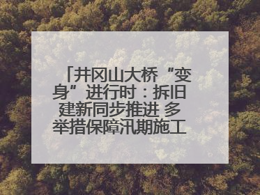 井冈山大桥“变身”进行时：拆旧建新同步推进 多举措保障汛期施工（图）