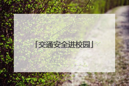 交通安全进校园