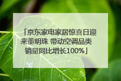 京东家电家居惊喜日迎来董明珠 带动空调品类销量同比增长100%