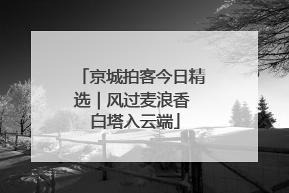 京城拍客今日精选｜风过麦浪香 白塔入云端