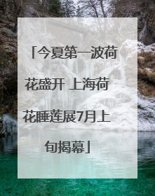 今夏第一波荷花盛开 上海荷花睡莲展7月上旬揭幕