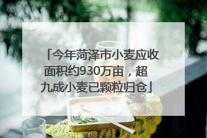 今年菏泽市小麦应收面积约930万亩，超九成小麦已颗粒归仓