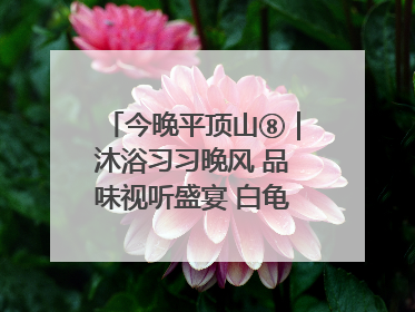 今晚平顶山⑧｜沐浴习习晚风 品味视听盛宴 白龟湖畔·草坪音乐会激情上演