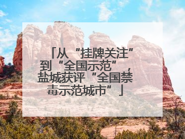 从“挂牌关注”到“全国示范”，盐城获评“全国禁毒示范城市”