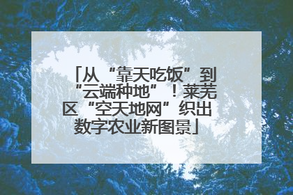 从“靠天吃饭”到“云端种地”！莱芜区“空天地网”织出数字农业新图景