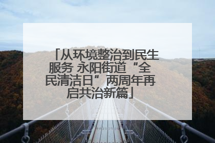 从环境整治到民生服务 永阳街道“全民清洁日”两周年再启共治新篇