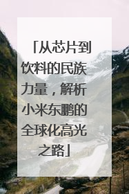 从芯片到饮料的民族力量，解析小米东鹏的全球化高光之路