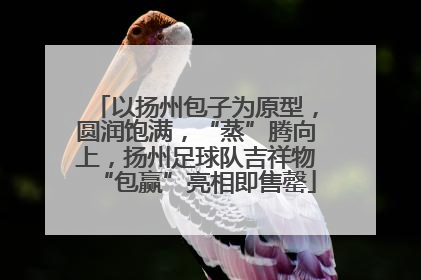 以扬州包子为原型，圆润饱满，“蒸”腾向上，扬州足球队吉祥物“包赢”亮相即售罄