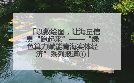 以数绘图，让海量信息“跑起来”——“绿色算力赋能青海实体经济”系列报道①