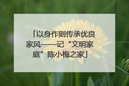 以身作则传承优良家风——记“文明家庭”陈小梅之家