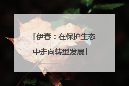 伊春：在保护生态中走向转型发展
