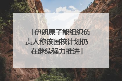 伊朗原子能组织负责人称该国核计划仍在继续强力推进