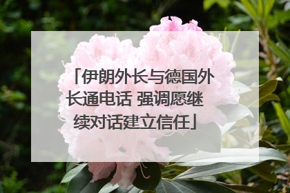 伊朗外长与德国外长通电话 强调愿继续对话建立信任