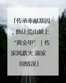传承奉献基因，他让荒山披上“黄金甲”｜传家风薪火 颂家国情深
