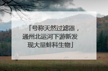 号称天然过滤器，通州北运河下游新发现大量蚌科生物