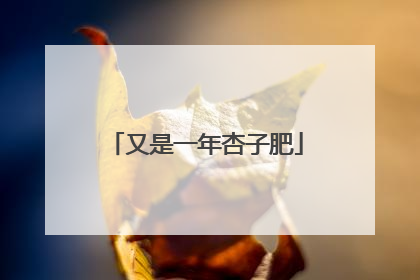 又是一年杏子肥