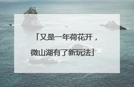 又是一年荷花开，微山湖有了新玩法
