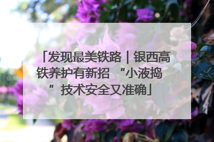 发现最美铁路｜银西高铁养护有新招 “小液捣”技术安全又准确