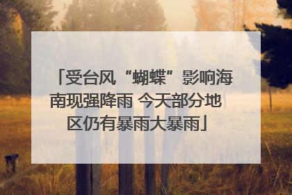 受台风“蝴蝶”影响海南现强降雨 今天部分地区仍有暴雨大暴雨