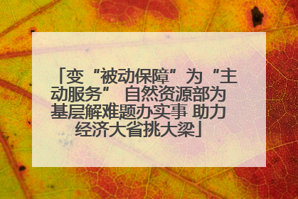 变“被动保障”为“主动服务” 自然资源部为基层解难题办实事 助力经济大省挑大梁