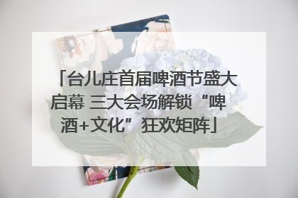 台儿庄首届啤酒节盛大启幕 三大会场解锁“啤酒+文化”狂欢矩阵